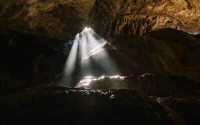 Die Realität hinter der Realität: Dialog bei David Bohm