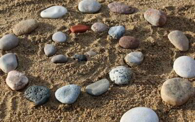 Spiral Dynamics – Die Ebenen des Bewusstseins