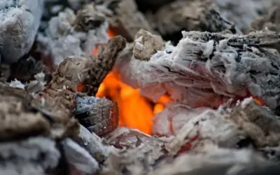 Wieder mal gescheiter(t)?