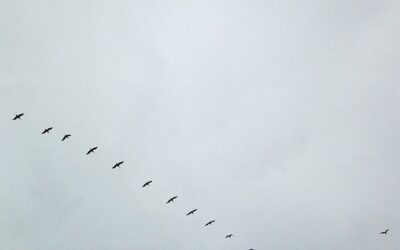 Methoden? Hin & wieder einfach mal weglassen!